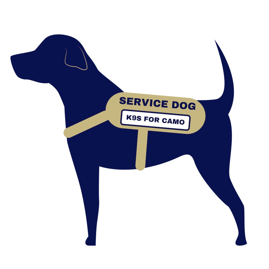 what makes a service dog legal